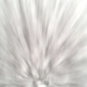 Meet your Posher, Jannah